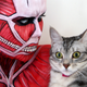 Illustration for article titled Its OK, Kitty, Titans Prefer Eating Humans